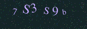 Validation image