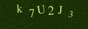 Validation image