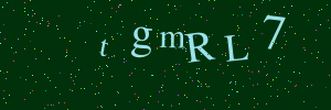 Validation image
