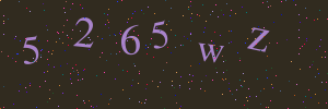 Validation image